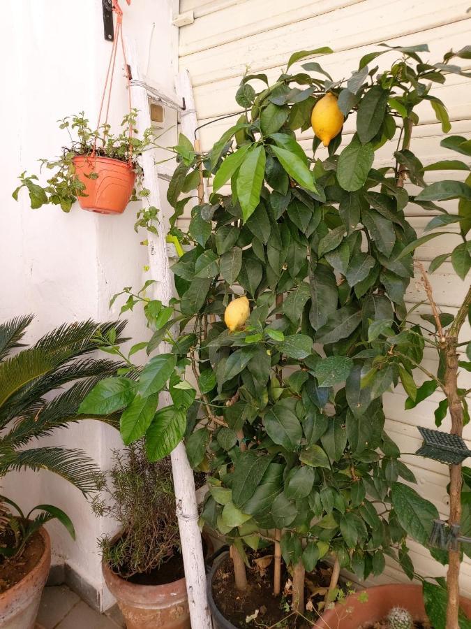 Daria'S Home Apartament Palermo Zewnętrze zdjęcie